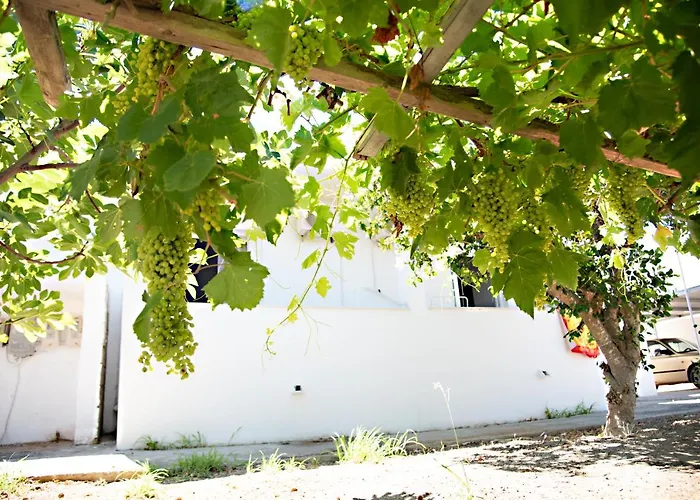 El Verano * Kardamena (Kos)