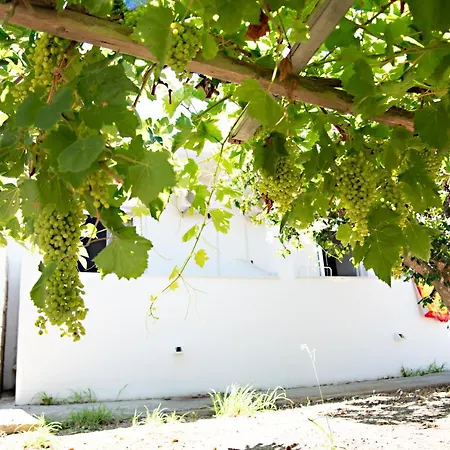 El Verano * Kardamena (Kos)